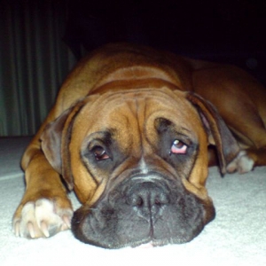 You Are Getting Sleepy!!!