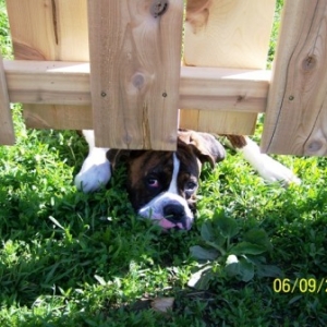 Quinn  6 months old