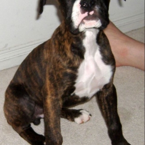 Bruce10wks