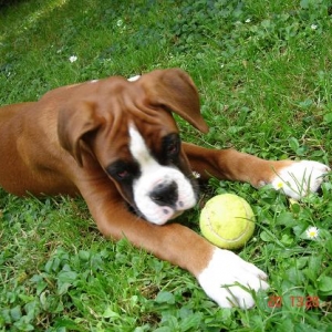 Fredi 2 - 4 months old
