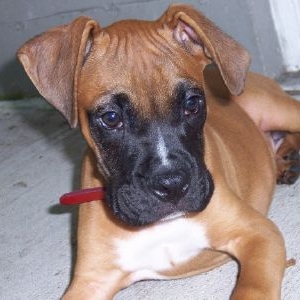 Rajah 14 weeks old