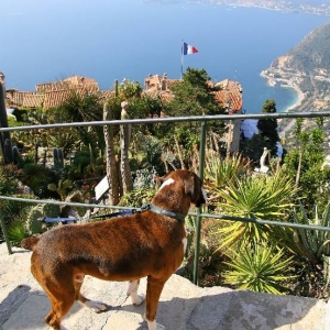 Henri at Eze