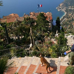 Eze outlook
