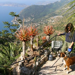 Cacti at Eze