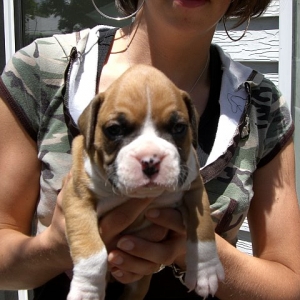 Jake at 5 Weeks
