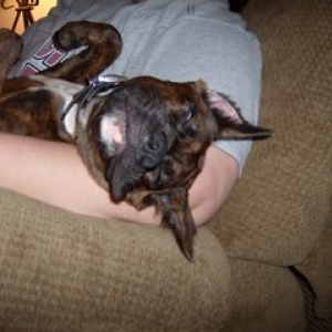sleepy baby