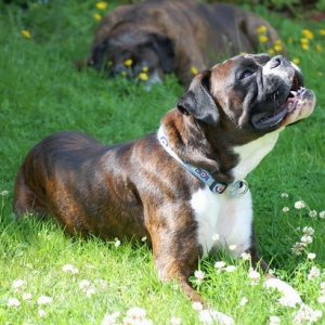 Enjoying the Sun