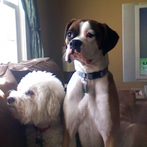 Daisy and Fritz