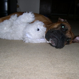 Penny's New Friend