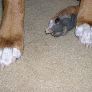 Penny's Skin Issue 3