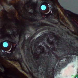Close up