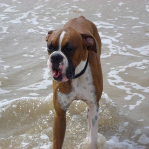 first taste of salt water :)