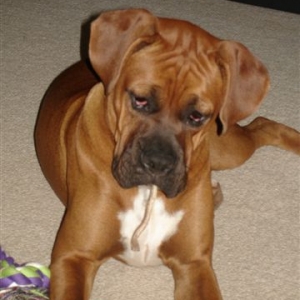 Elvis picked up smoking- how defiant!