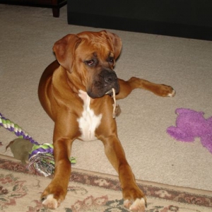 I wonder what's on the OTHER end of that string?