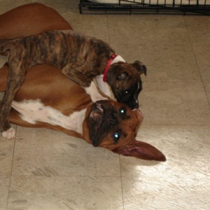 There will be NO resting on Arwen's watch!