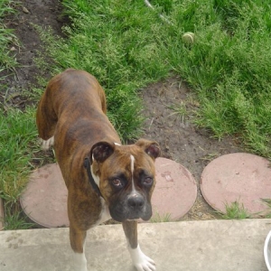 Were thinking of adopting her
