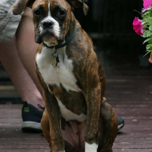 Java at 5.5 months
