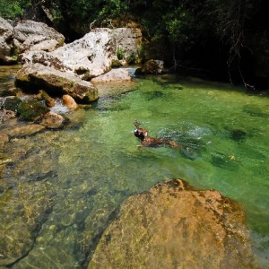 Swimming well