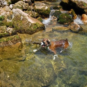 Coming ashore