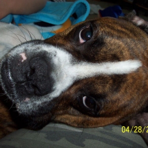 max