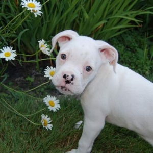 My flower girl