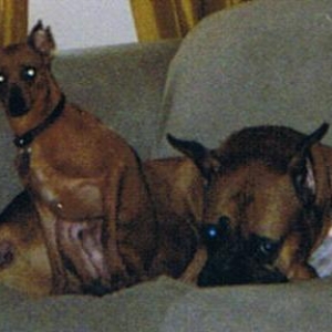 Champ and Kato