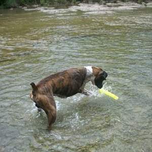 at Bull Creek