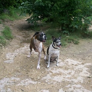 at the lake with Zoe