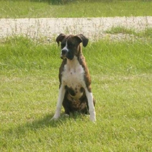 Posing Pretty