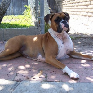 Samantha - 2 Years Old