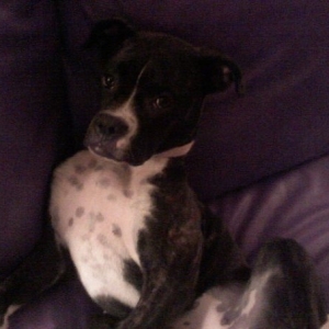 spots!