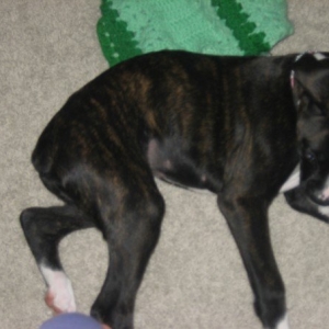 Addie