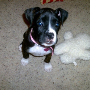 play with my mommy!