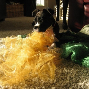 I love shower Loofas!
