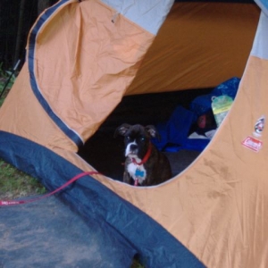 first camping trip
