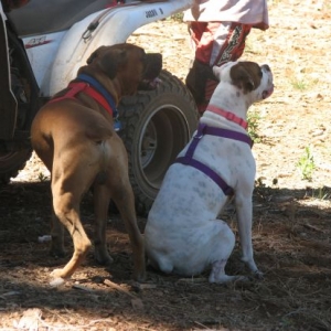 Falko and Annabelle getting ready