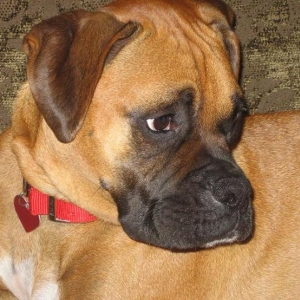 Madi, you ignoring me?