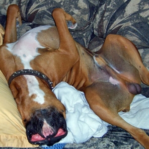 Tyson venting his lips