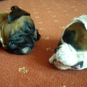 Sleepy Ruby and Lukes