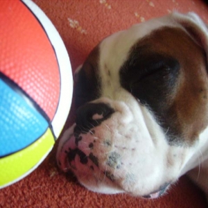 Luka and his ball