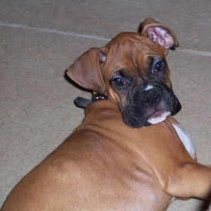 Tyson as a baby