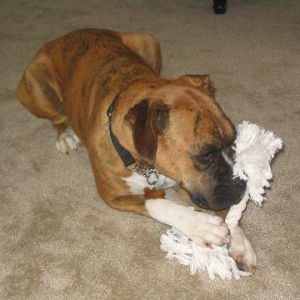 She loves this rope.
