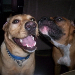 I love you uncle Barkley