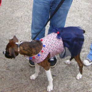 Fourth of July Dress