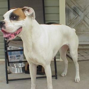Star, 3 years