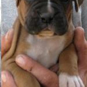 Our baby at 4 weeks