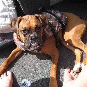 ruby