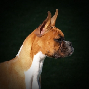 Head shot at 6 months