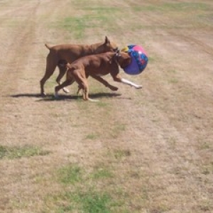 Cami and Darby