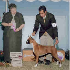 Cami Winning Best of Winners 2006